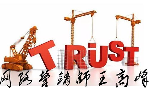 王高峰師自述 網絡文化經營之路，四川網絡營銷師的挑戰與突圍